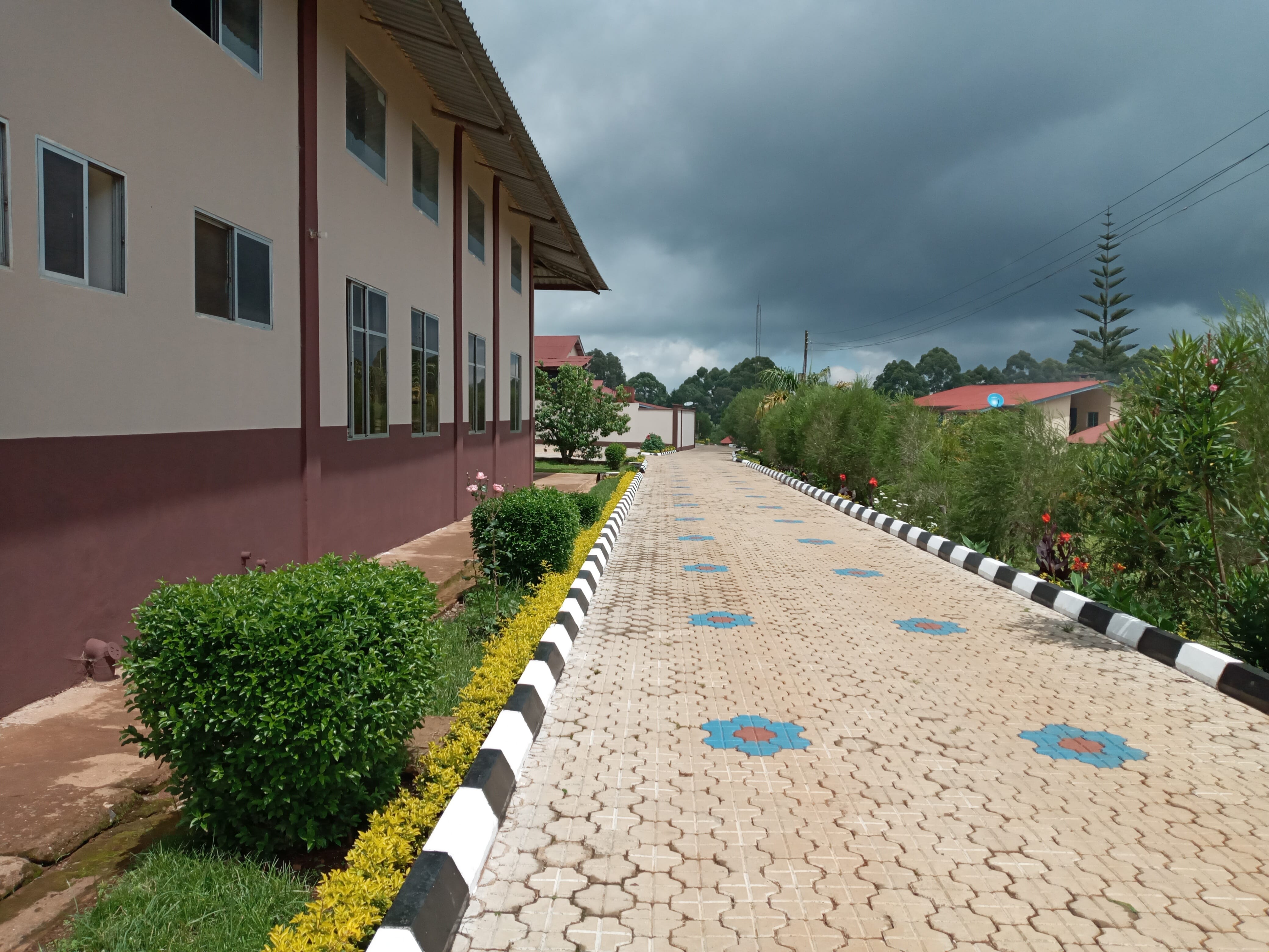 Franciscan seminary Maua, Maua seminary